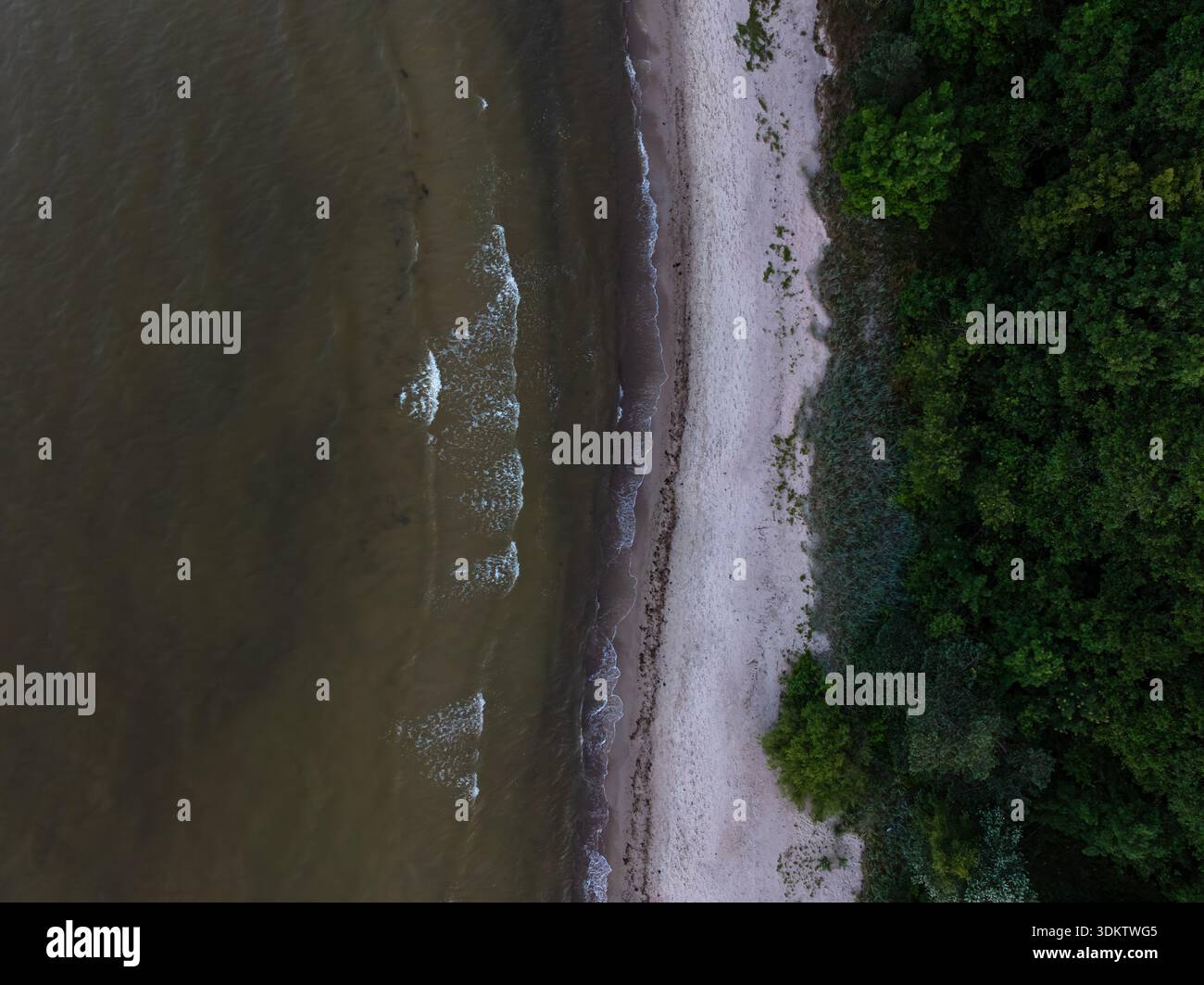 Aus der Vogelperspektive auf eine Küste, wo sanfte Wellen auf einen Sandstrand treffen, der von einem dichten Wald mit leuchtendem Grün auf der rechten Seite begrenzt wird. Stockfoto
