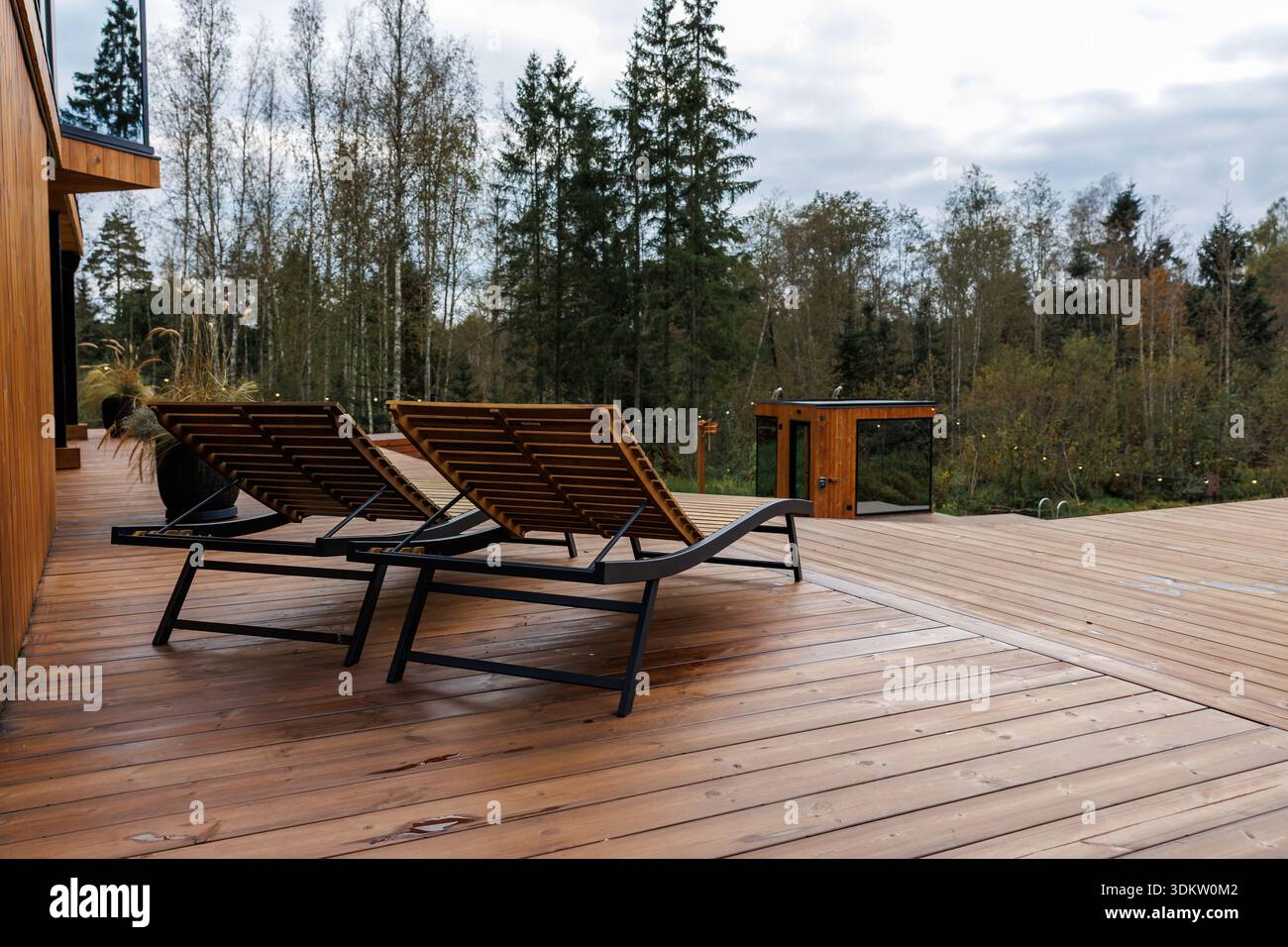 Drei hölzerne Loungesessel mit schwarzem Metallgestell sitzen auf einer geräumigen Holzterrasse. Eine moderne Struktur und hohe Bäume, einschließlich Birken, sind sichtbar. Stockfoto
