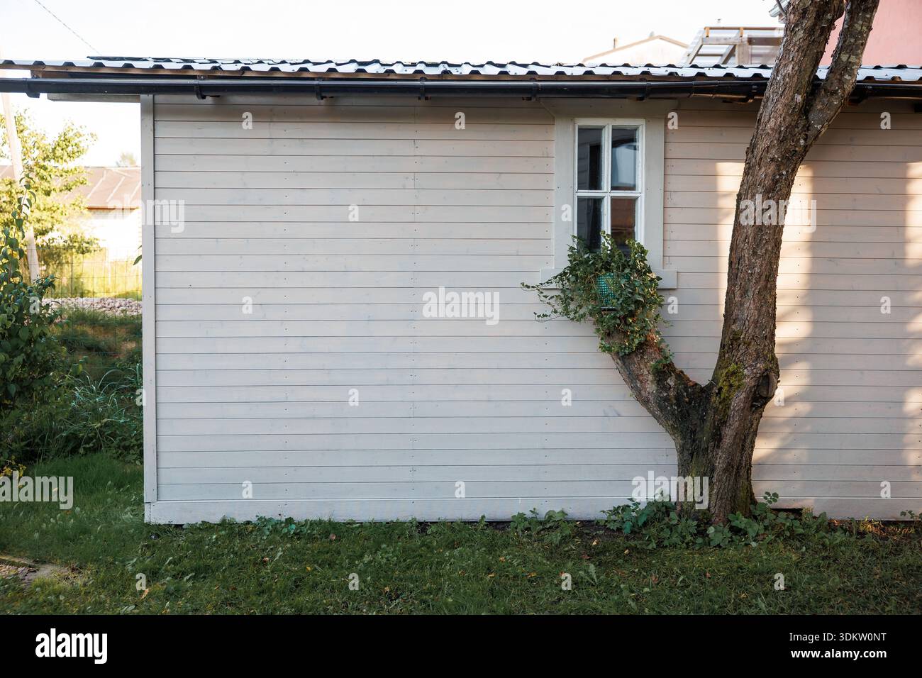 Helle Holzstruktur mit Welldach, darauf liegendem Baum, grüne Pflanzen in der Nähe des Fensters, Gras und entfernte Gebäude sichtbar. Stockfoto