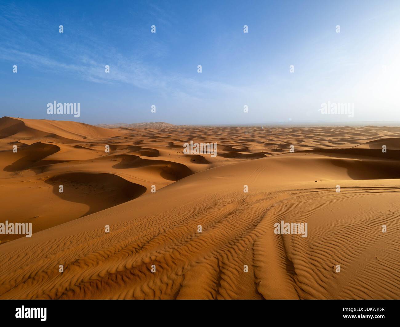 Weitläufige Luftaufnahme der endlos welligen goldenen Sanddünen, die sich bis zum fernen Horizont unter einem hellblauen Himmel in der Erg Chebbi Region von Mor erstrecken Stockfoto