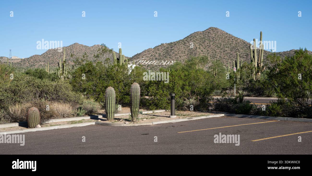 Der Saguaro (Carnegiea gigantea) ist eine baumähnliche Kaktusart der monotypischen Gattung Carnegiea, die bis zu 12 Meter (40 Fuß) hoch werden kann. It Stockfoto