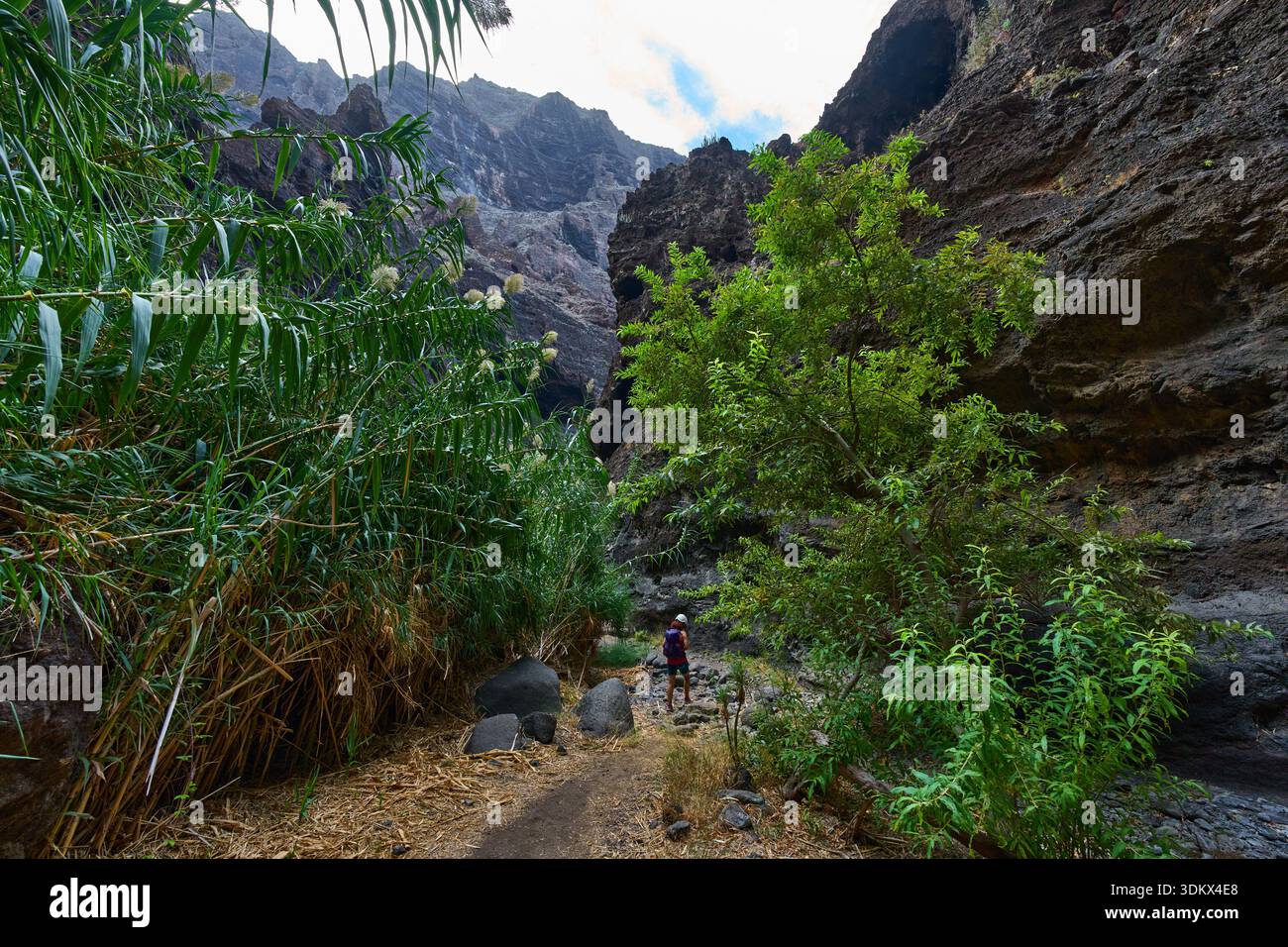 Weibliche Wanderer mit Helm auf dem Weg durch die majestätischen Klippen der Masca-Schlucht mit üppiger Vegetation und blauem Himmel Stockfoto