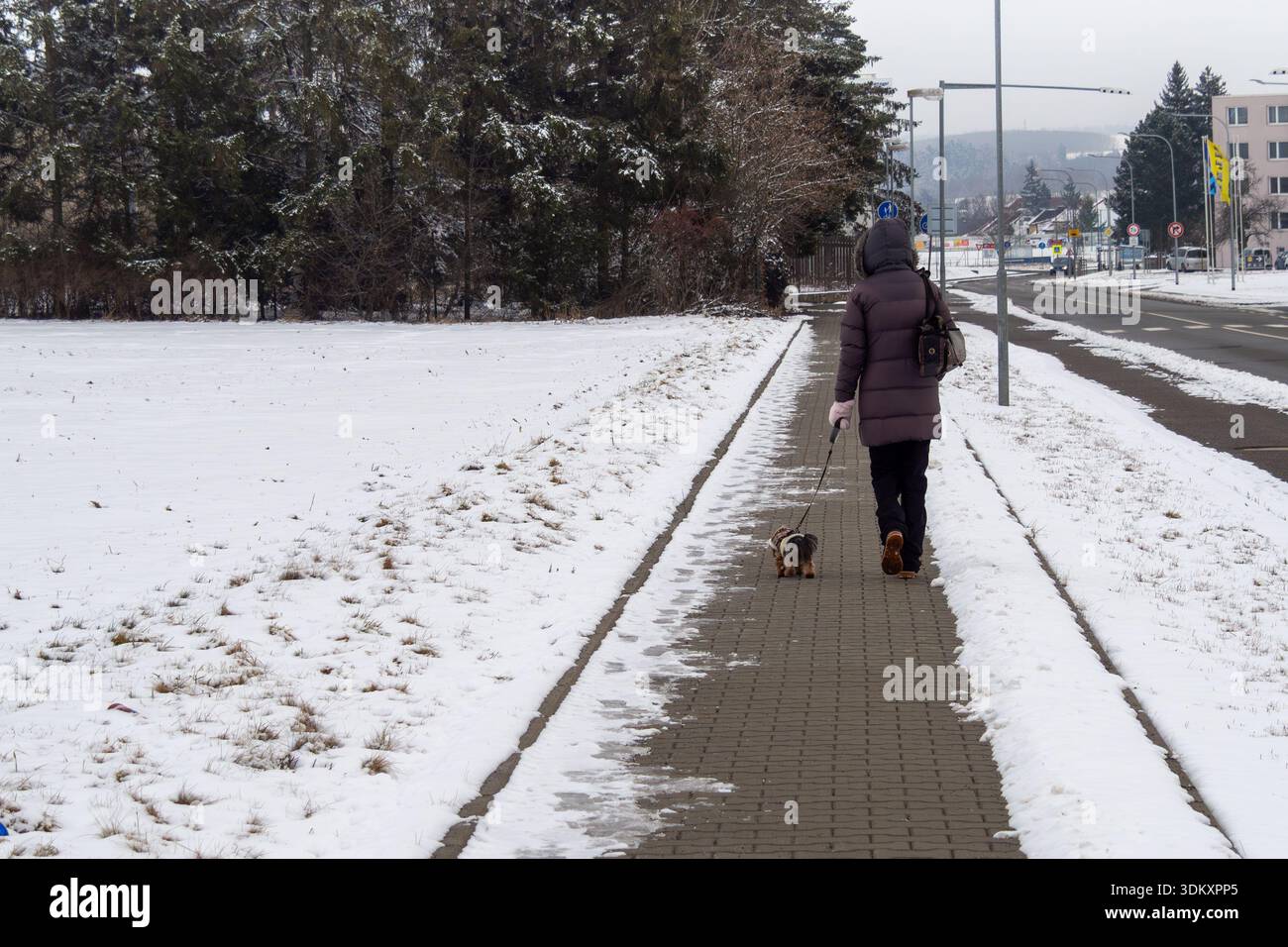 Gemächlich Spazieren Sie Durch Die Winterliche Nachbarschaft Mit Entzückendem Hund... Velka Bites. Stockfoto