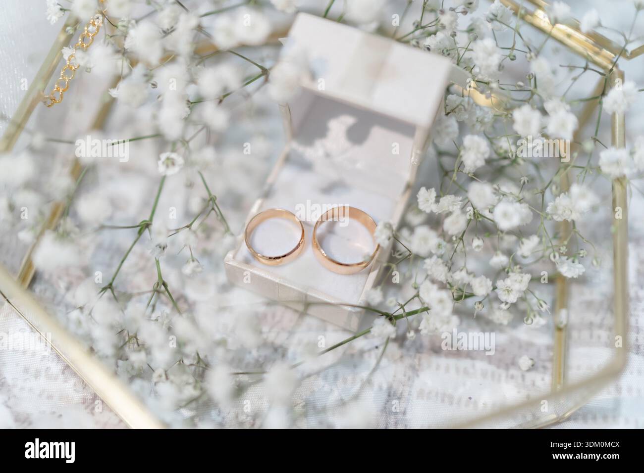 Goldene Hochzeitsringe in Box Stockfoto