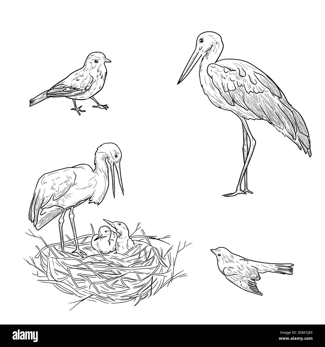 Ein Weißstorch steht in einem Nest auf dem Dach eines alten Gebäudes. Grüne Wiese mit Fluss und blühenden Pflanzen. Realistische Vektorlandschaft im Sommer. Vektor Stock Vektor