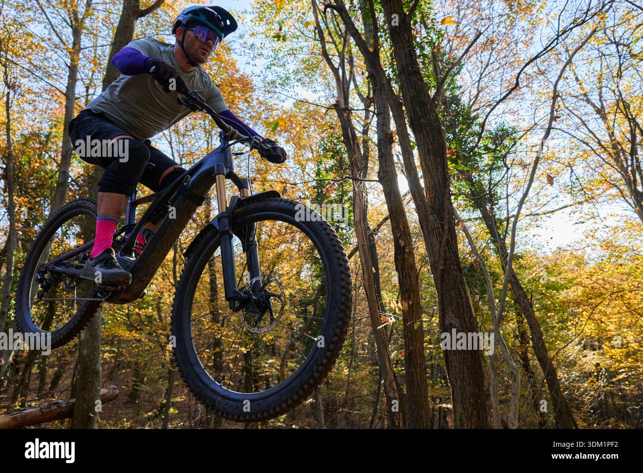 Herbst Mountain Biker Jumping Über Trail Gap Durch Sunlit Forest Trail Stockfoto