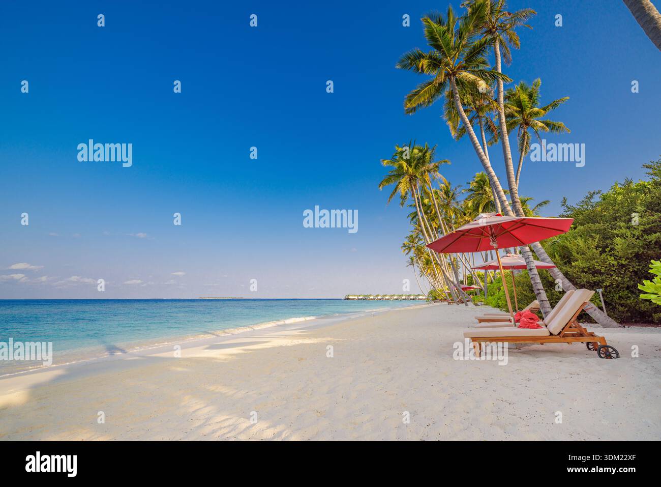 Malediven Strand rote Sonnenliegen Sonnenschirme wiegende Palmen kristallklares türkisfarbenes Wasser weißer Sandstrand. Romantische Liebespaare Urlaubshintergrund Stockfoto