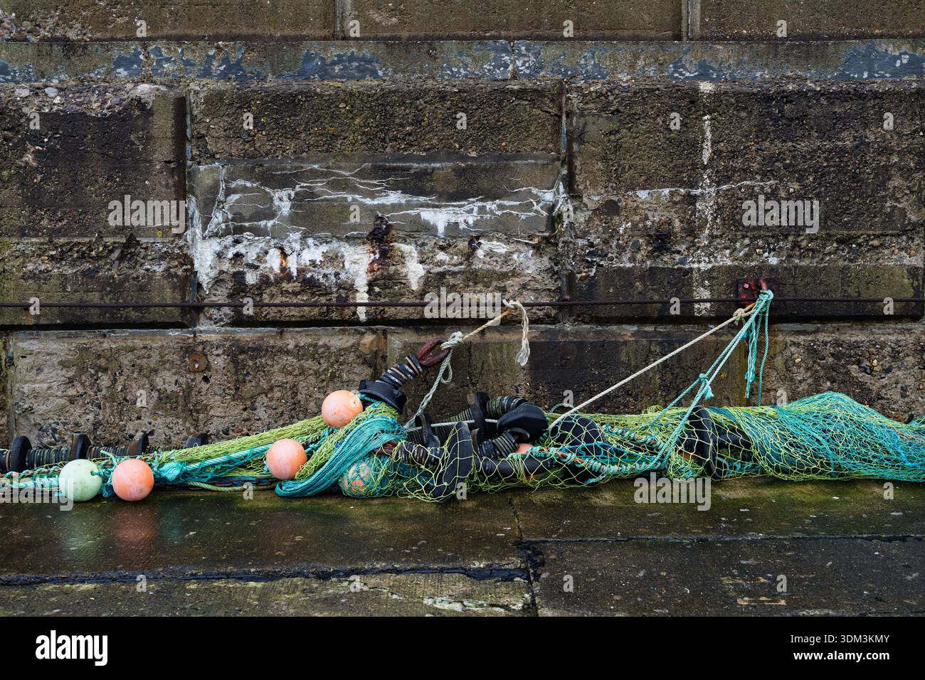 Ein Fischernetz mit Schwimmern und Gewichten ist an einer Betonmauer am Buckie Harbour Pier in Moray Schottland befestigt. Es zeigt Anzeichen von Verschleiß Stockfoto
