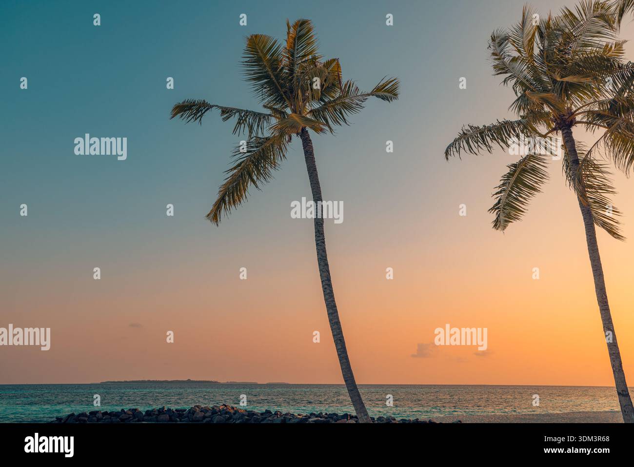 Dramatischer tropischer Sonnenuntergang, zwei Palmen vor leuchtendem orange-goldenem Himmel, atemberaubende Strandlandschaft, leuchtendes, traumhaftes Reiseziel Stockfoto