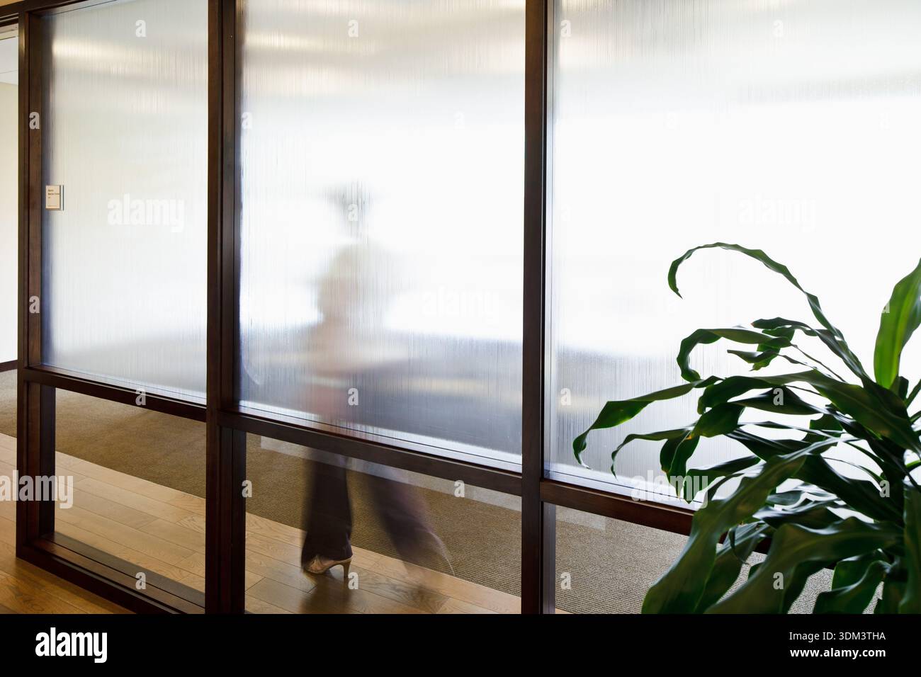 Eine verschwommene Silhouette einer professionellen Frau in High Heels, die hinter einer Trennwand aus Milchglas in einem modernen Büro-Konferenzraum läuft. Stockfoto