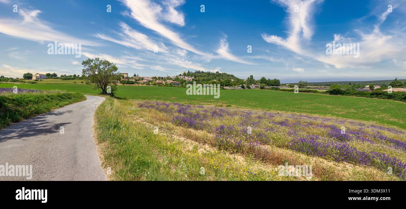 Südfrankreich Landschaft Provence Lavendelstraße, idyllische baumgesäumte Landschaft, pulsierende Landschaft mit Panoramablick auf die Natur Stockfoto