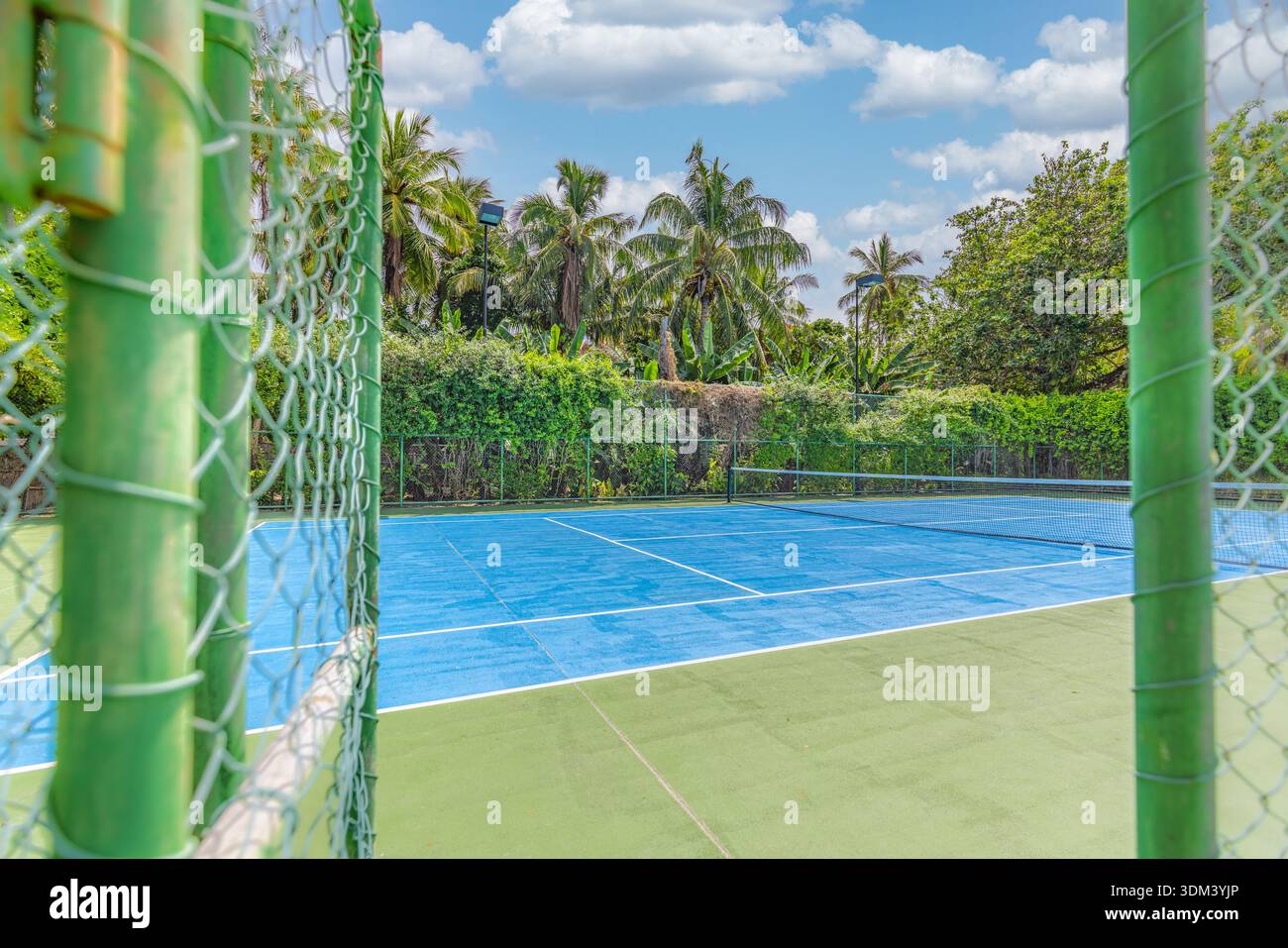 Tropischer Tennisplatz Outdoor Sport Freizeit Aktivität sonniges Urlaubsresort Hof Palmen Freizeit Lifestyle Stockfoto