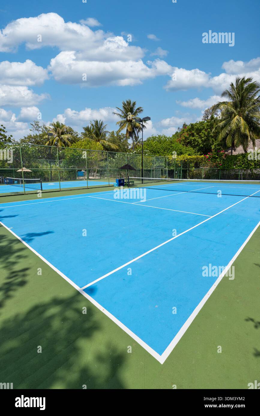 Tropischer Tennisplatz Outdoor Sport Freizeit Aktivität sonniges Urlaubsresort Hof Palmen Freizeit Lifestyle Stockfoto