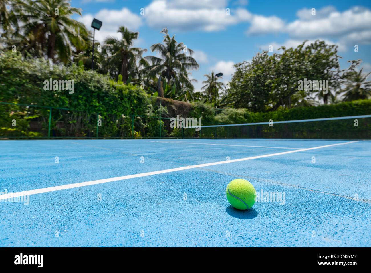 Tropischer Tennisplatz Outdoor Sport Freizeit Aktivität sonniges Urlaubsresort Hof Palmen Freizeit Lifestyle Stockfoto