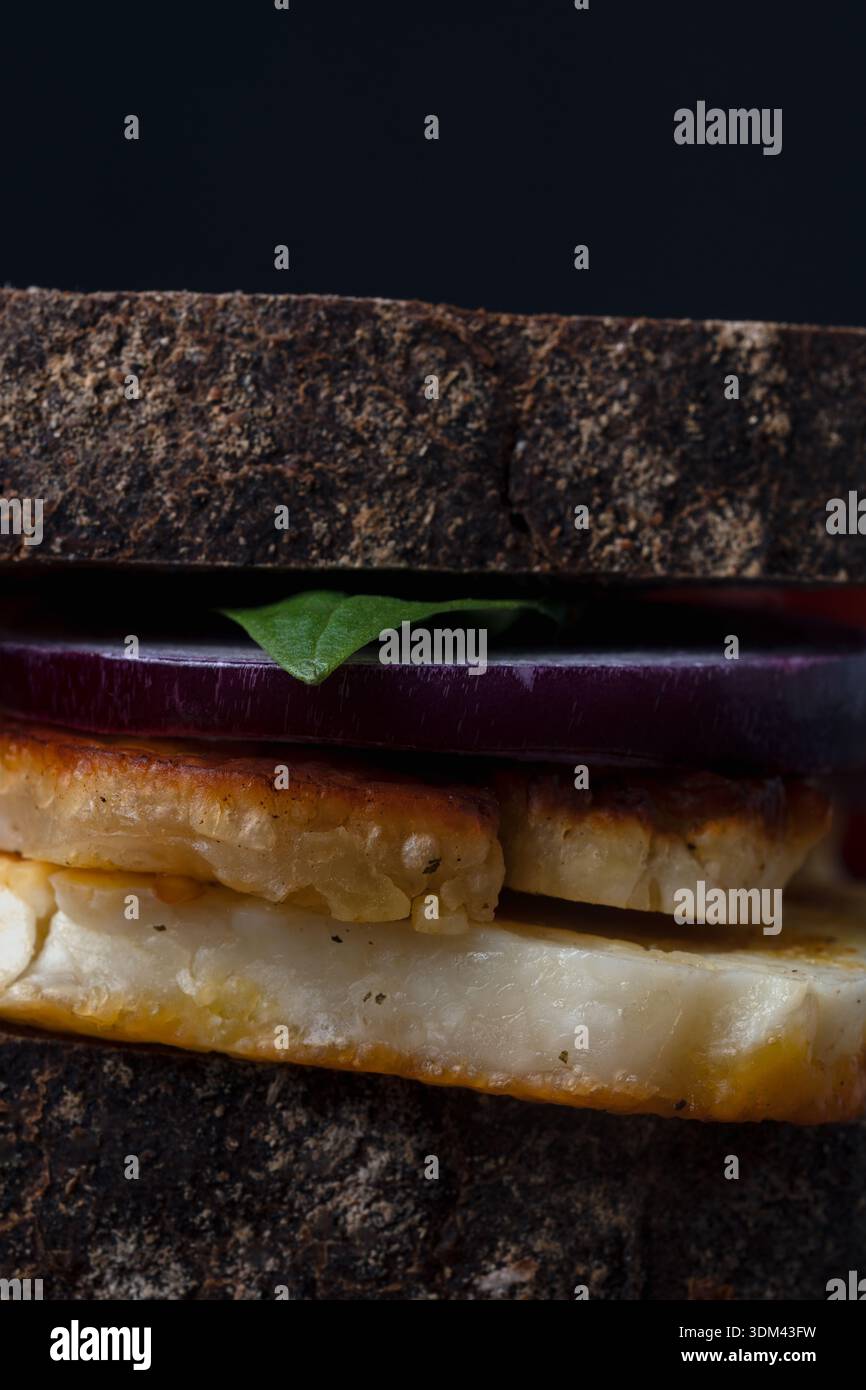 Makroaufnahme mit Schwerpunkt auf der goldenen Textur von gegrilltem halloumi-Käse, roten Zwiebeln und dunklem, handwerklichem Brot Stockfoto