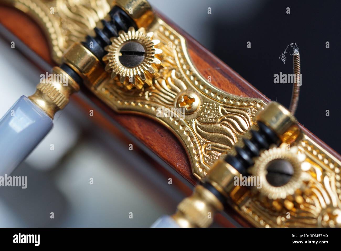 Makroaufnahme eines klassischen Gitarrenstimmers, der das Detail der Gravur und das Detail einer Nylon-Gitarrensaite zeigt Stockfoto