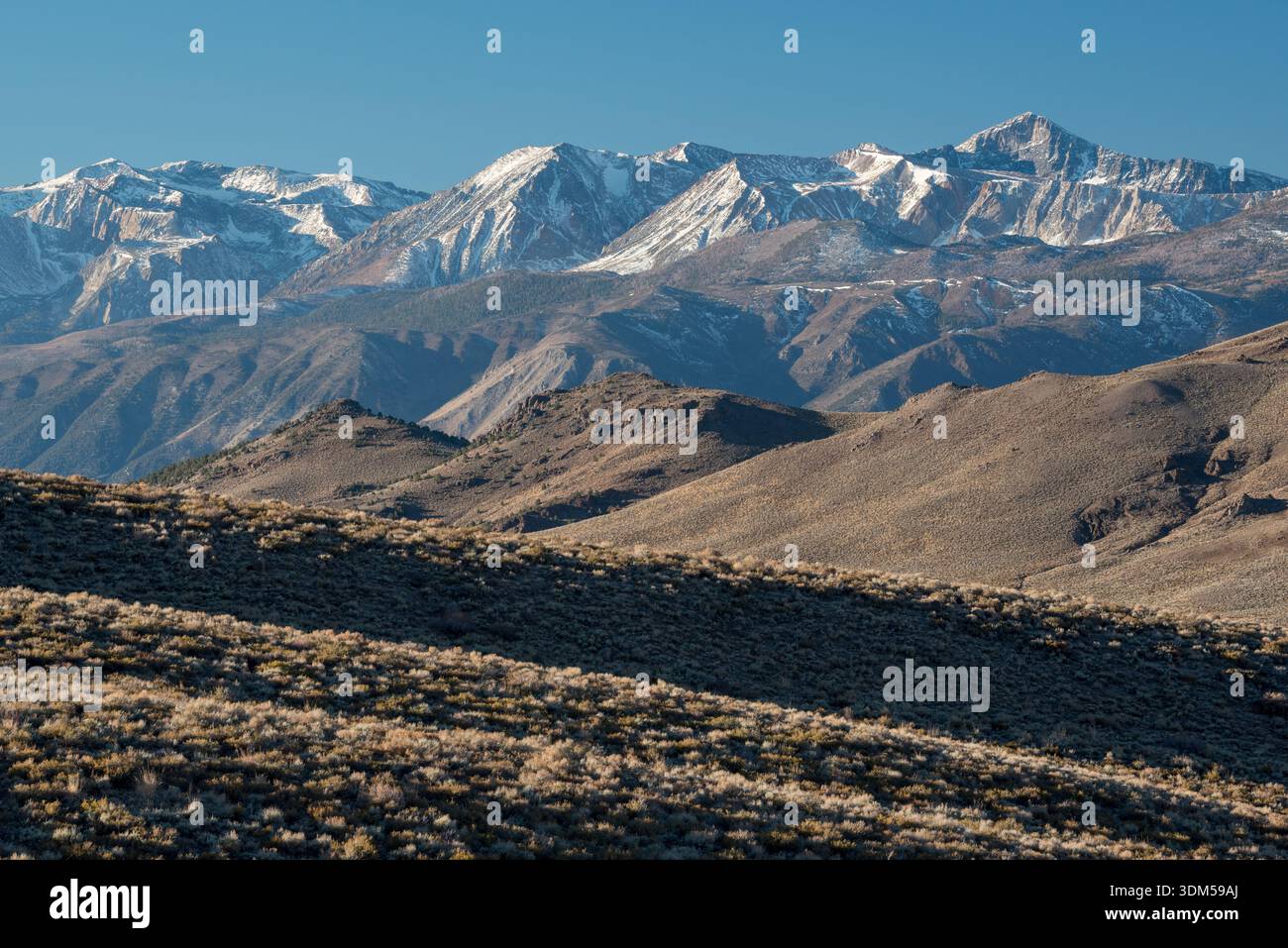 Ostwand der Sierra Nevada Range im Mono County, Kalifornien, USA. Stockfoto