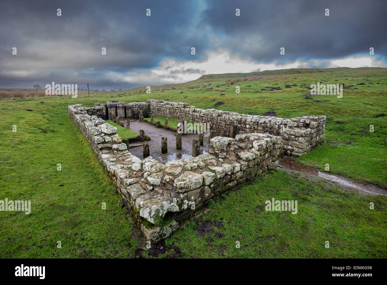 Brocolitia Roman Temple, der Tempel des Mithras in der Nähe des römischen Forts Carrawburgh an der Hadriansmauer Stockfoto