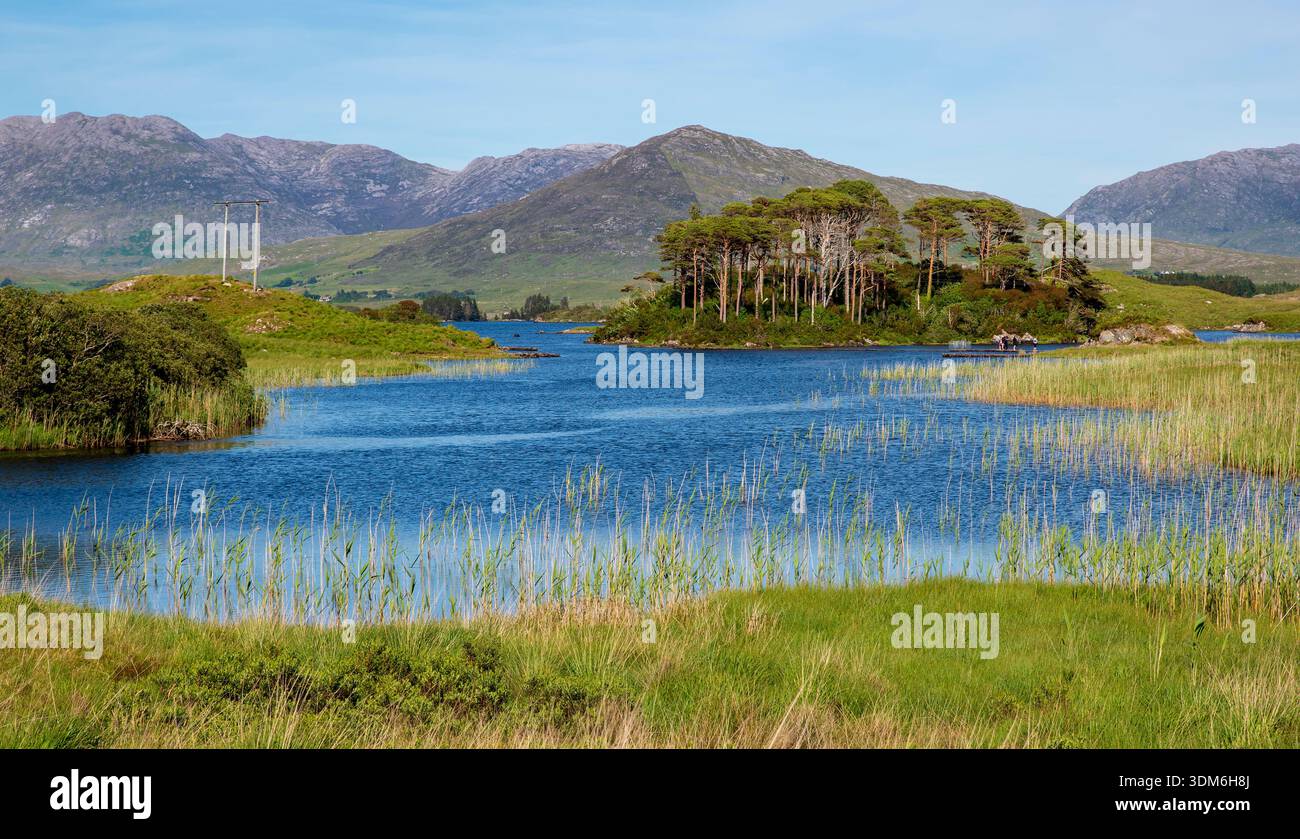 Derryclare Lough mit einer kleinen bewaldeten Insel und den Twelve Bens Mountains in Connemara, County Galway, Irland Stockfoto