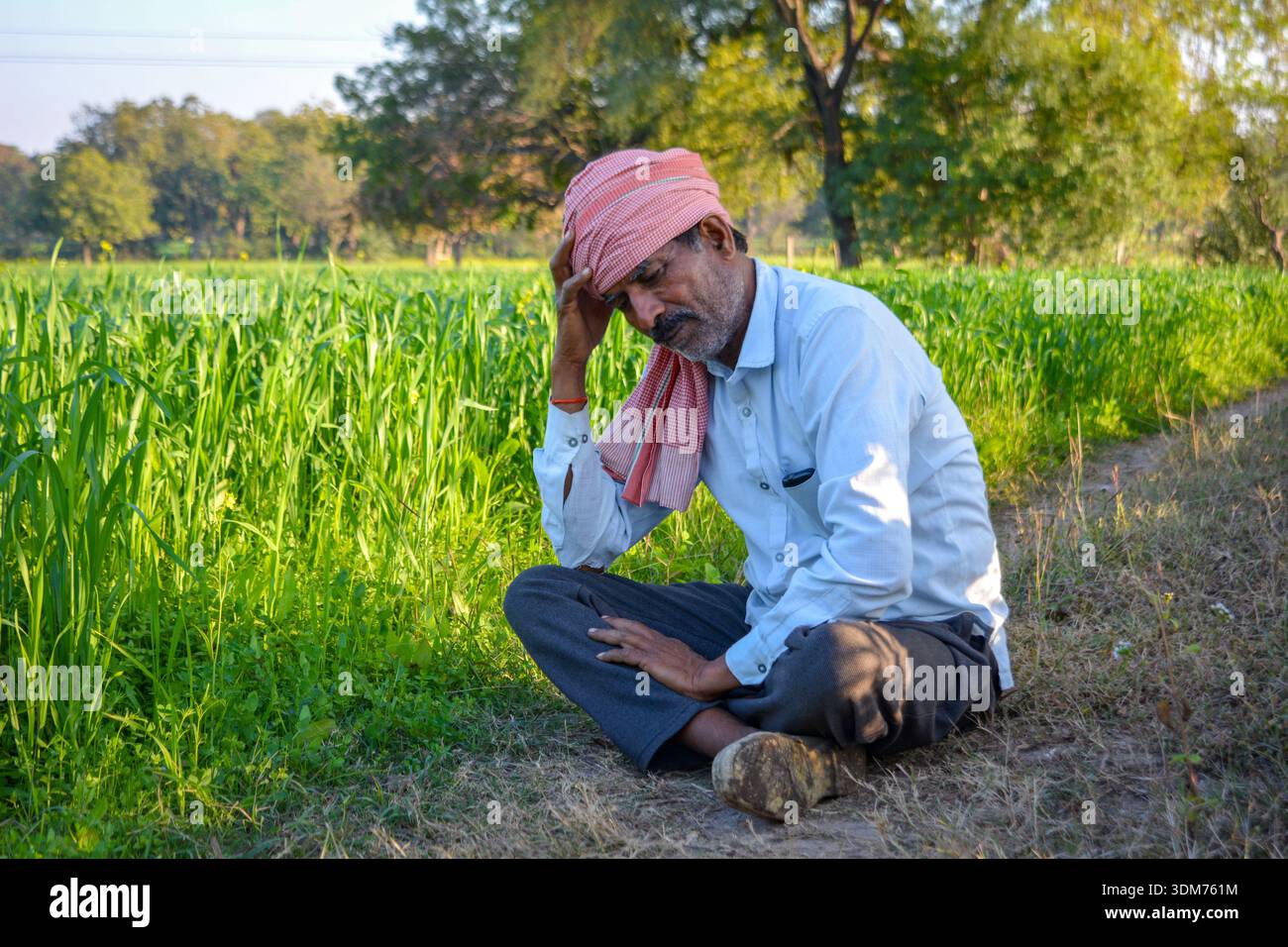 Besorgter indischer Landwirt, der auf dem Feld sitzt und Kopf in der Hand hält, wegen Ernteausfällen oder Schulden Stockfoto