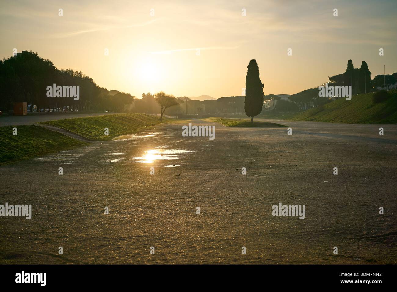Goldene Stunde bei Sonnenaufgang im historischen Park Circo Massimo im Winter, Rom, Italien Stockfoto