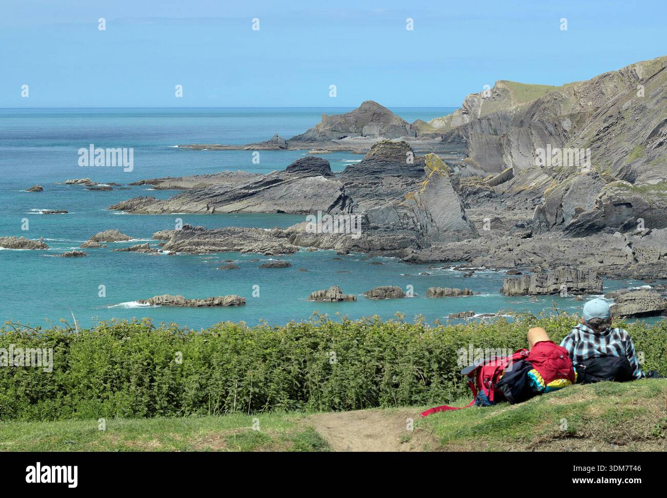 Küste mit Blick auf Lundy vom Hartland Quay auf dem South West Coast Path im Norden von Devon, England, Großbritannien. Sommer. Juni. Stockfoto