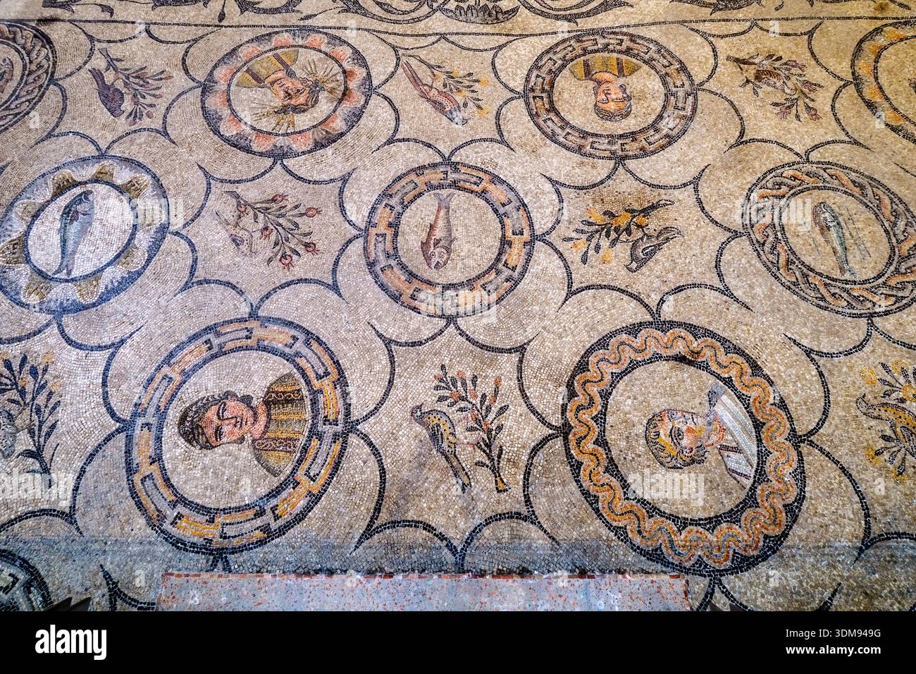 Antike römische Bodenmosaiken mit Porträts und Fischmotiven in der Kirche Aquileia Basilika. Stockfoto