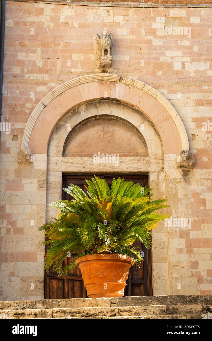 Eingang aus Stein mit einer großen Pflanze Cycas revoluta auf Stufen in Assisi, Italien Stockfoto