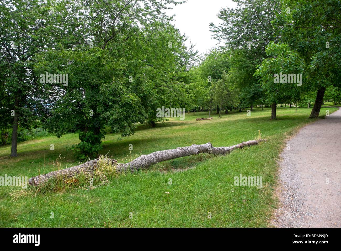 Wanderweg und Wald auf dem Petrinberg in Prag, Tschechische Republik Stockfoto