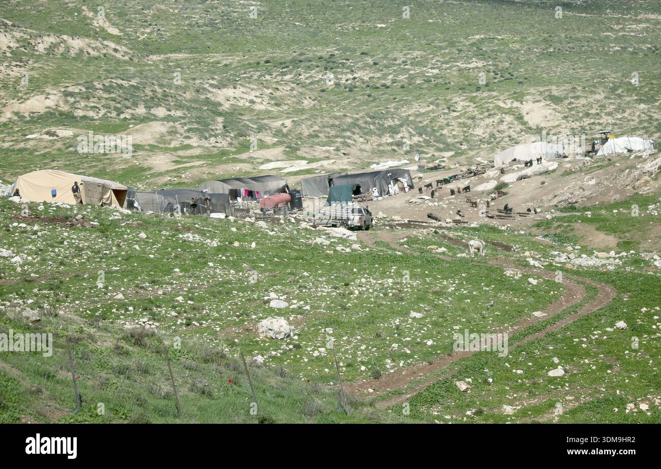 Allgemeine Ansicht der Häuser palästinensischer Beduinen in Khirbet Ibziq, im nördlichen Jordantal in der Nähe von Tubas im Westjordanland, versammelten sie sich dort, nachdem sie von einer Gruppe von Siedlern angegriffen wurden, die die Straße zum Lager blockierten und Zivilisten und humanitären Organisationen den Zugang verhinderten. Die Siedler zerstörten auch eine Beduinenschule. Stockfoto