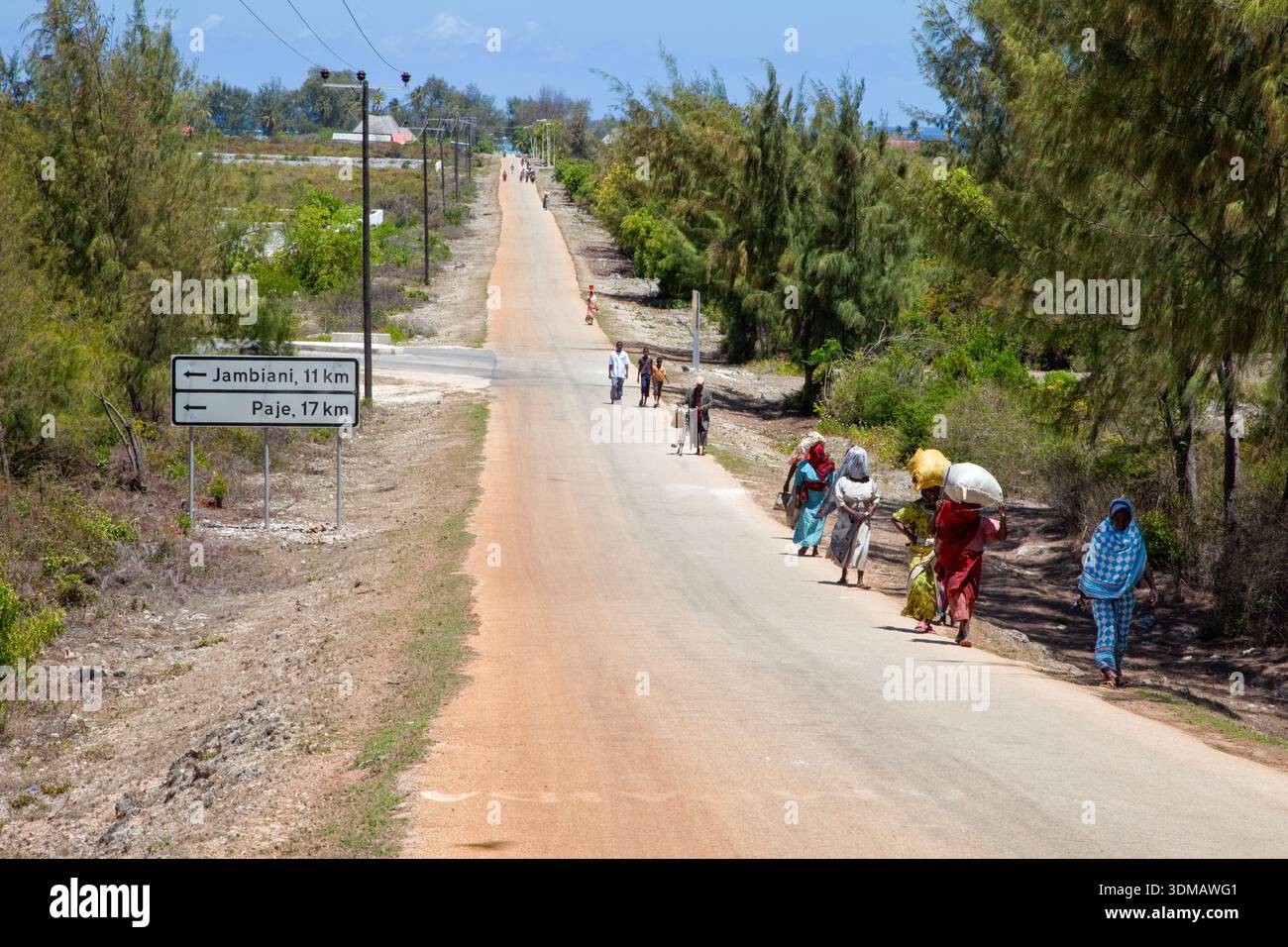 Makunduchi, Sansibar, Tansania. Frauen, die Lasten tragen, gehen den steilen Hügel außerhalb der Stadt hinauf. Casuarina-Bäume säumen die Route. Stockfoto