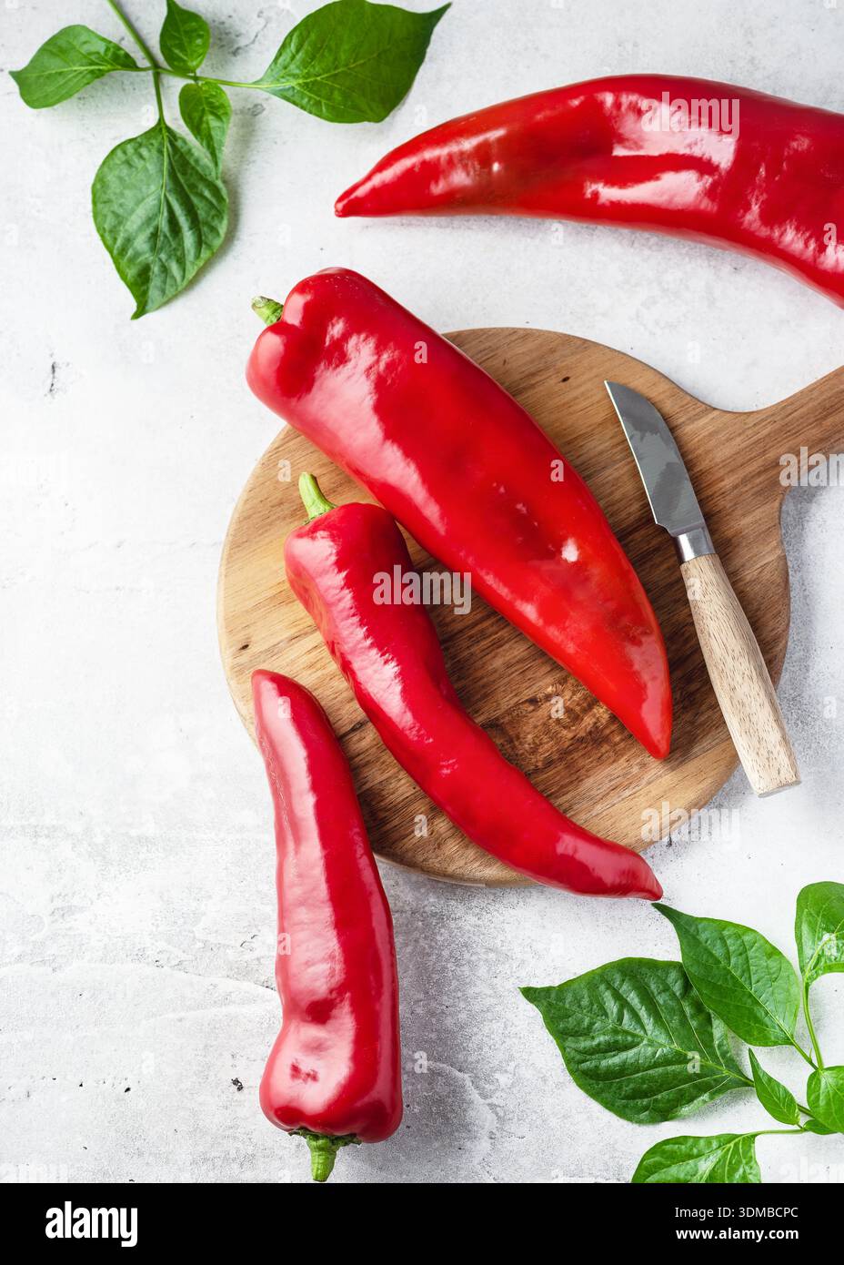 Frische rote Kapia-Paprika (Capsicum annuum) auf einem Holzschneidebrett mit einem Messer, umgeben von grünen Blättern. Stockfoto