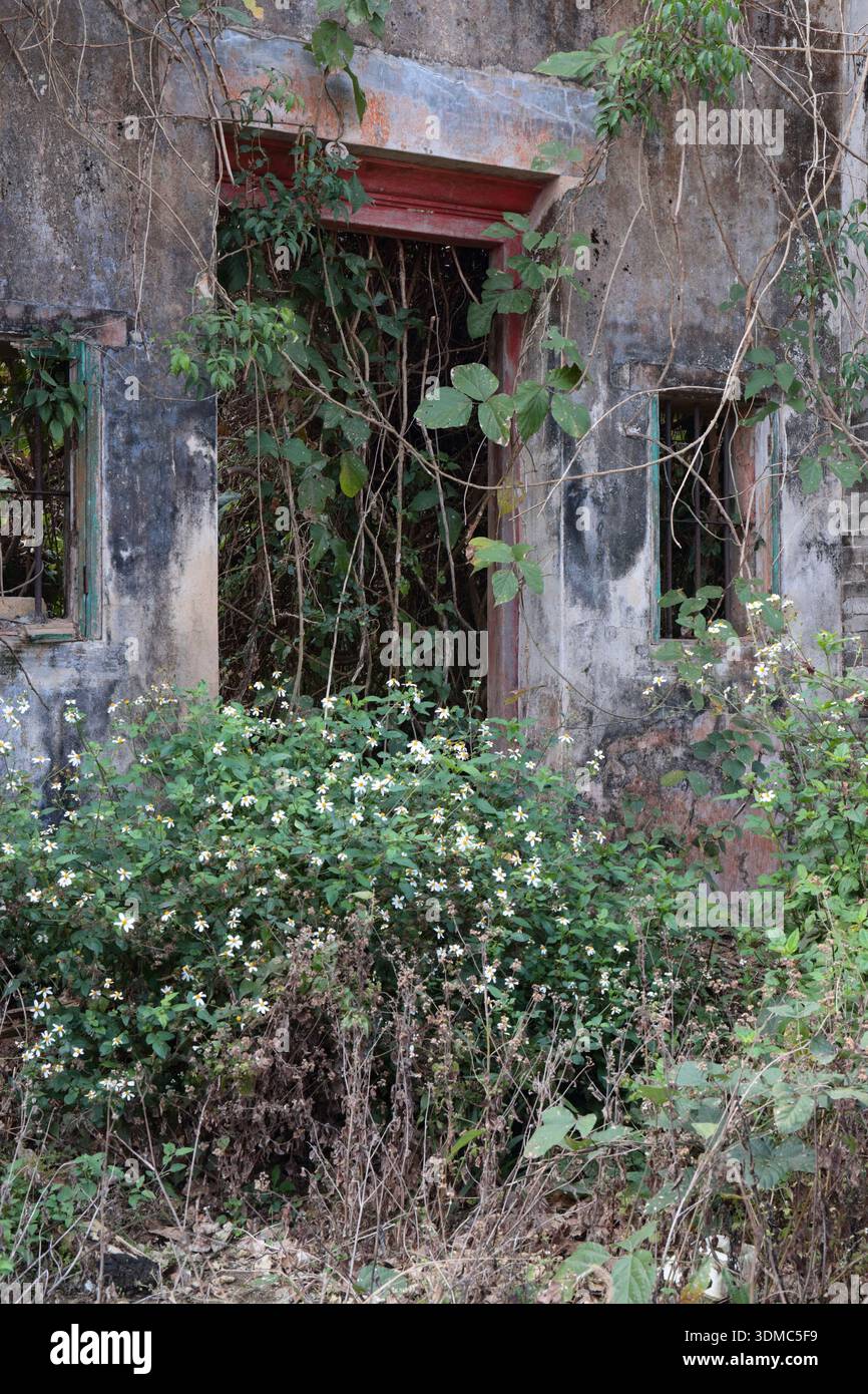 Alte verlassene Gebäude im Dorf Tin Liu Ha, Lam Tsuen Valley, Tai Po, New Territories, Hongkong China Februar 2026 Stockfoto