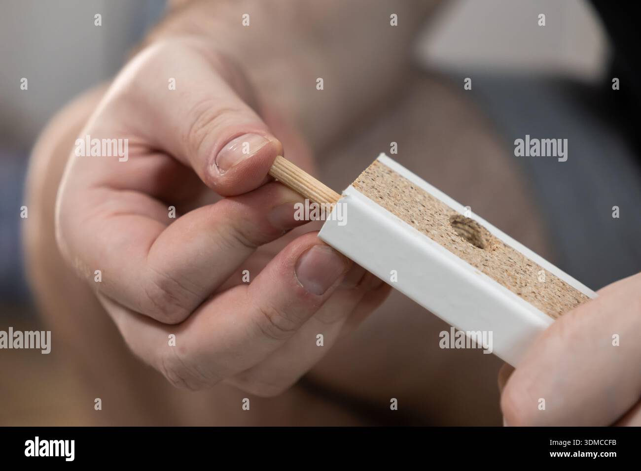 Nahaufnahme menschlicher Hände, die Möbel sorgfältig zusammenbauen, indem sie einen Holzdübel in eine vorbereitete Spanplatte einpassen, was die persönliche Anstrengung zeigt Stockfoto