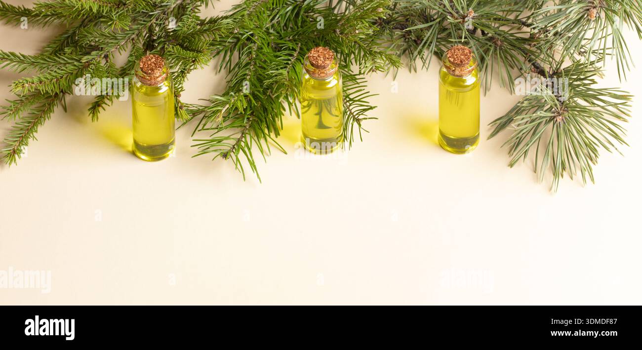Drei mit ätherischen Nadelölen gefüllte Glasflaschen sind in Reihe auf beigefarbener Oberfläche angeordnet mit frischer Tanne, Abies, Kiefernzweigen Banner Display für Stockfoto