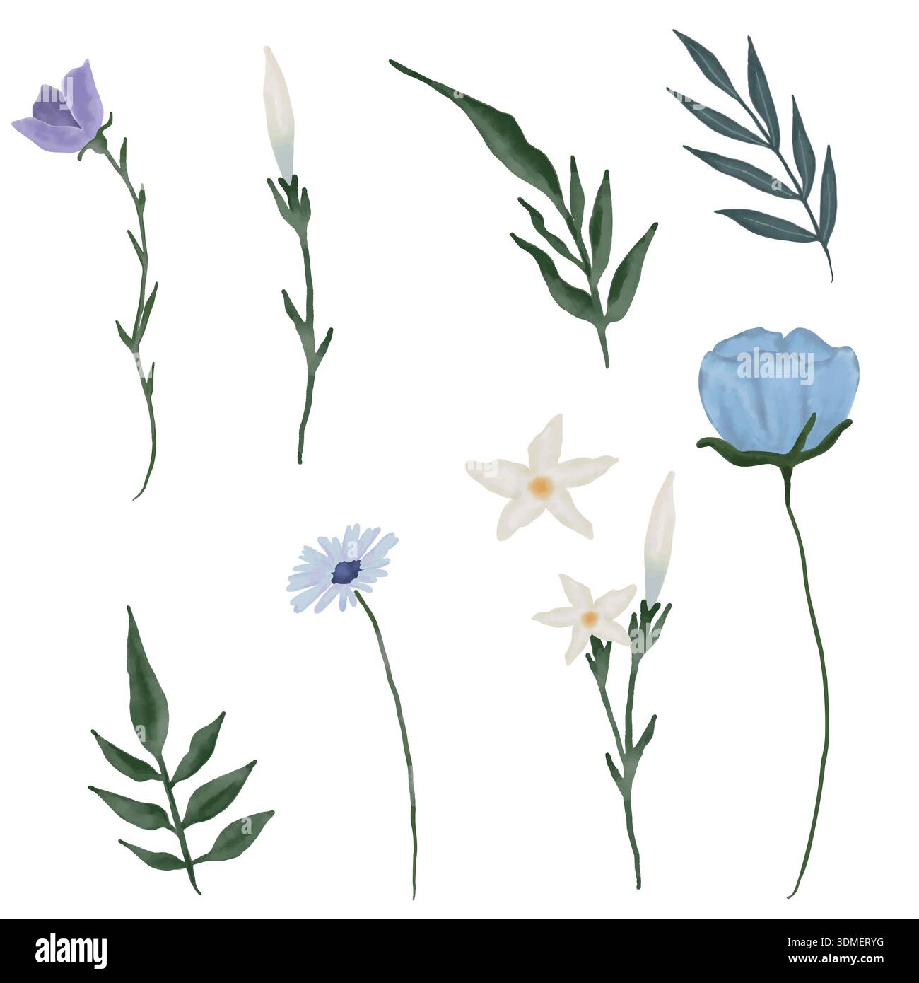 Handgezeichnetes Aquarellbild Set mit Frühlings- und Sommerblumen. Zarte und lebendige Blumenelemente im zarten, hellen Aquarellstil Stockfoto