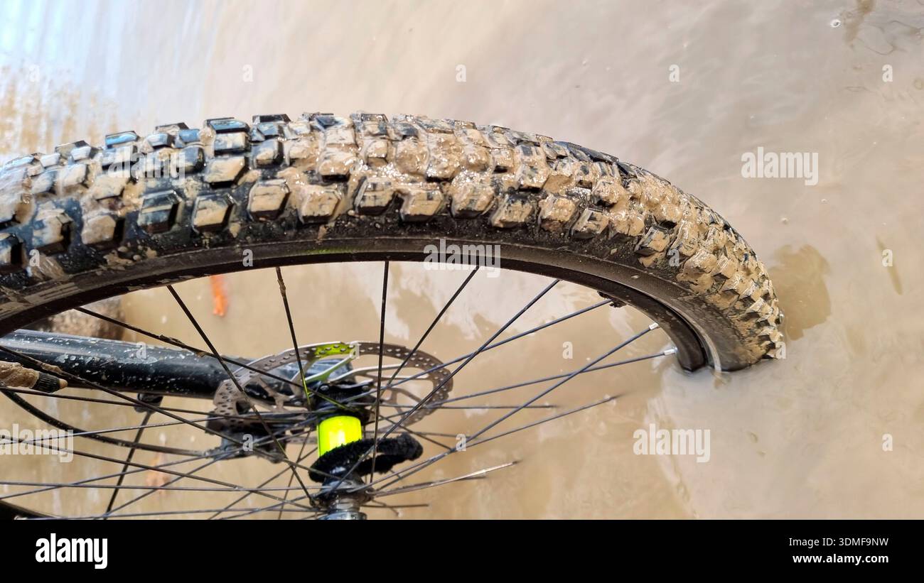 Fahrrad, Pfütze, Waldweg Stockfoto