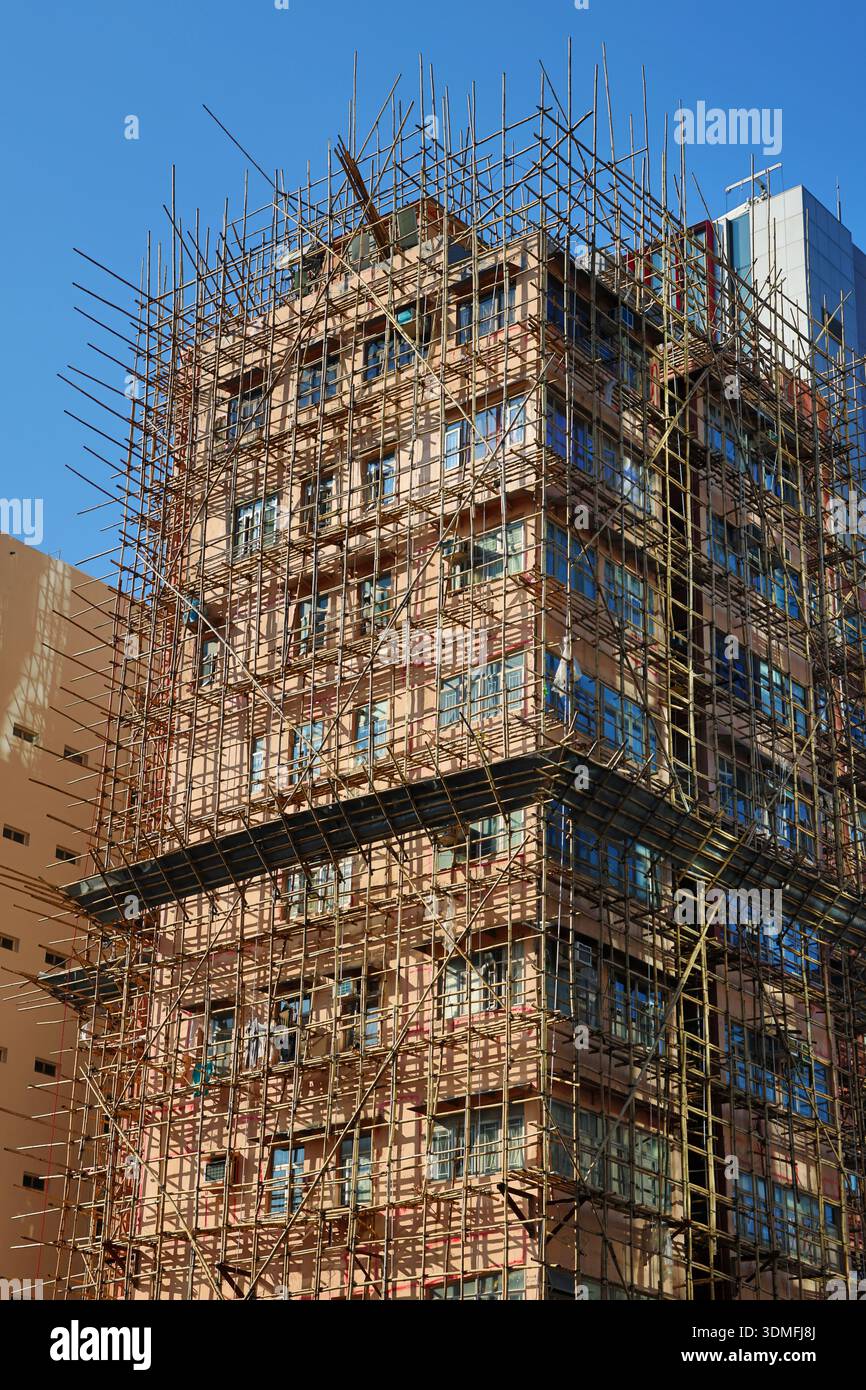 China, Hong Kong, Bambus-Gerst Stockfotografie - Alamy