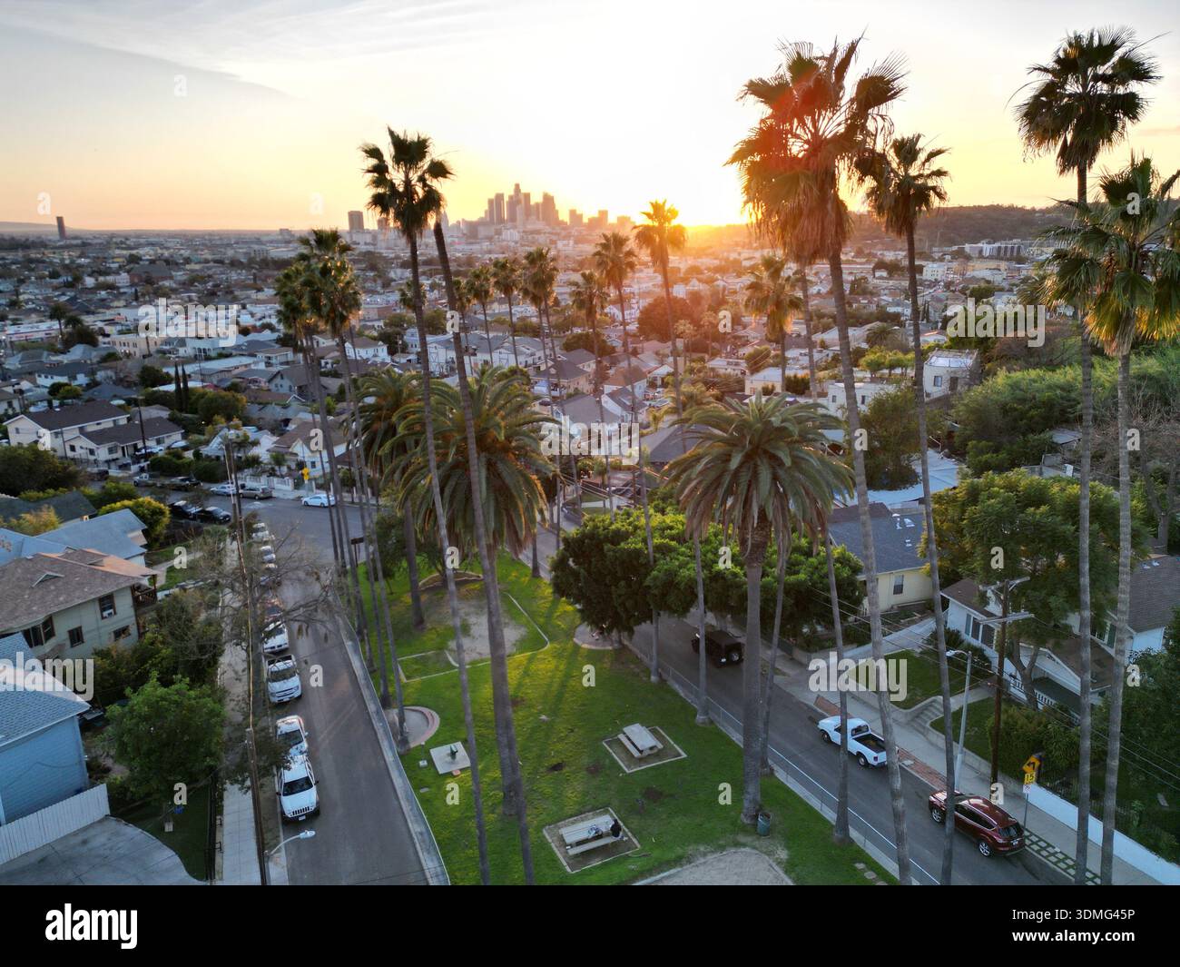 Klassische goldene Sonnenuntergangsbeleuchtung unter hohen Palmen mit der Skyline der Stadt in der Entfernung von Los Angeles, Kalifornien Stockfoto