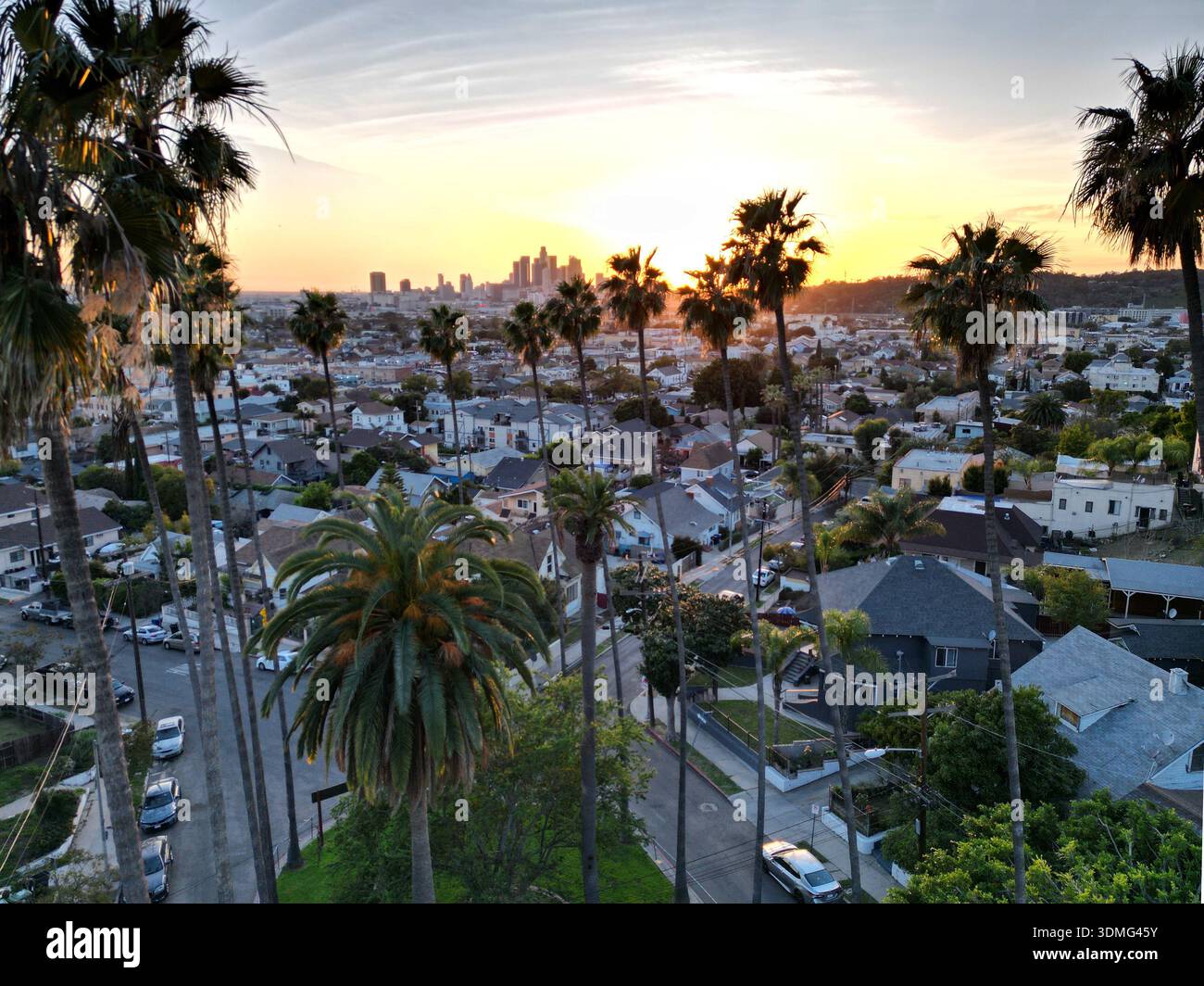 Klassische goldene Sonnenuntergangsbeleuchtung unter hohen Palmen mit der Skyline der Stadt in der Entfernung von Los Angeles, Kalifornien Stockfoto