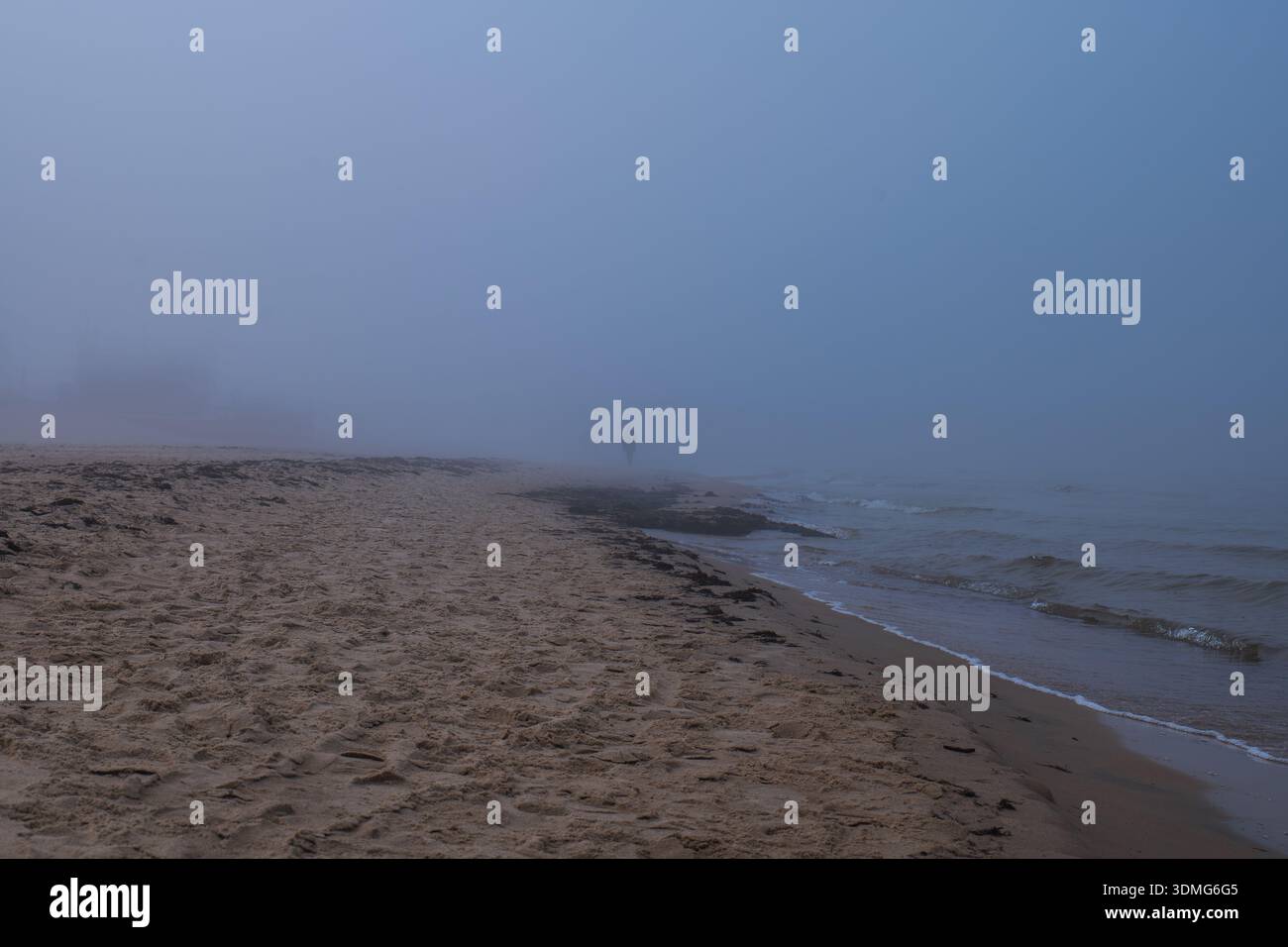 Eine nebelbedeckte Ostseeküste in Litauen zeigt sanfte Wellen, feuchten Sand und eine einsame Figur im Dunst, mit kühlen Tönen und sanftem Licht, die auf ein Ohr hindeuten Stockfoto
