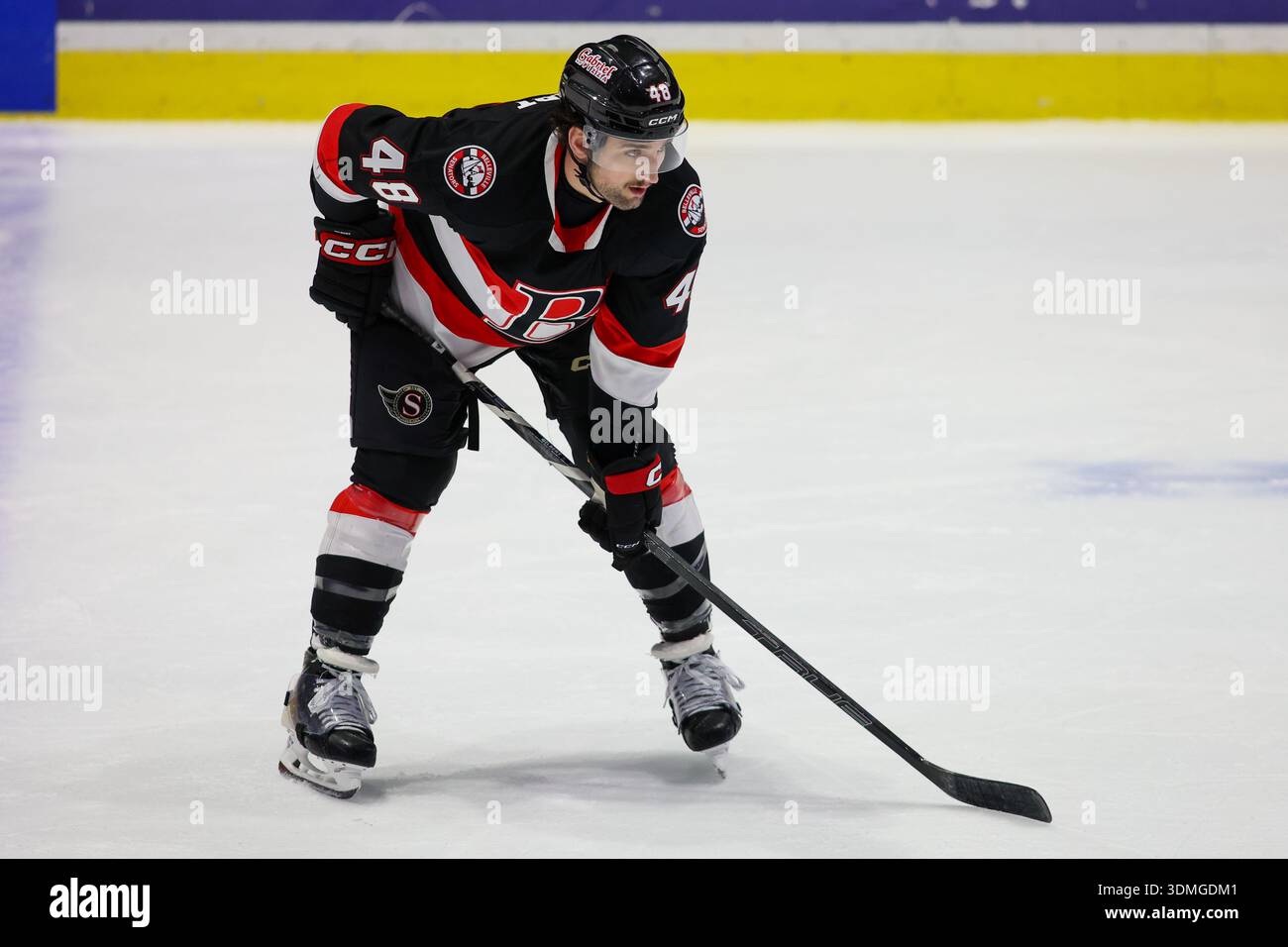 Rochester, New York, USA. Februar 2026. Dennis Gilbert (48), Abwehrspieler der Belleville Senators, Skateboard in der ersten Periode in einem Spiel gegen die Rochester Americans. Die Rochester Americans veranstalteten die Belleville Senators in einem Spiel der American Hockey League in der Blue Cross Arena in Rochester, New York. (Jonathan Tenca/CSM). Quelle: csm/Alamy Live News Stockfoto