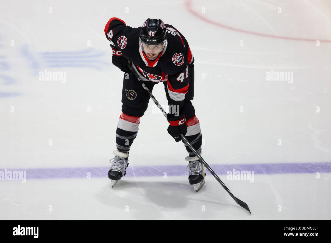 Rochester, New York, USA. Februar 2026. Dennis Gilbert (48), Abwehrspieler der Belleville Senators, Skateboard in der dritten Periode gegen die Rochester Americans. Die Rochester Americans veranstalteten die Belleville Senators in einem Spiel der American Hockey League in der Blue Cross Arena in Rochester, New York. (Jonathan Tenca/CSM). Quelle: csm/Alamy Live News Stockfoto