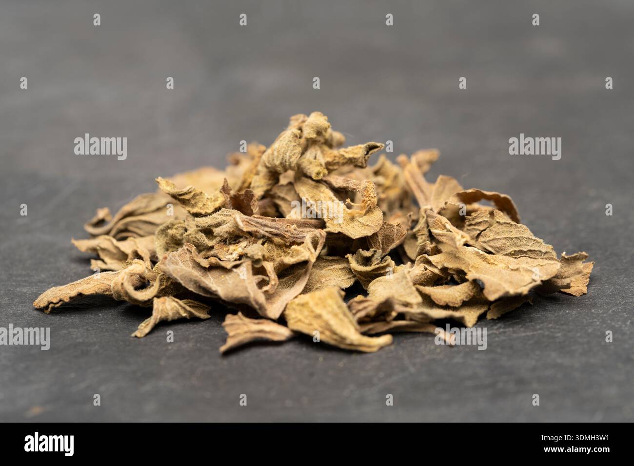 Bugleweed, Teppich Budgle, Boruto jinyu, Ajuga reptans, - getrocknete Heilkräuter in Okinawa Tee für Entspannung, Gesundheit, Langlebigkeit verwendet Stockfoto