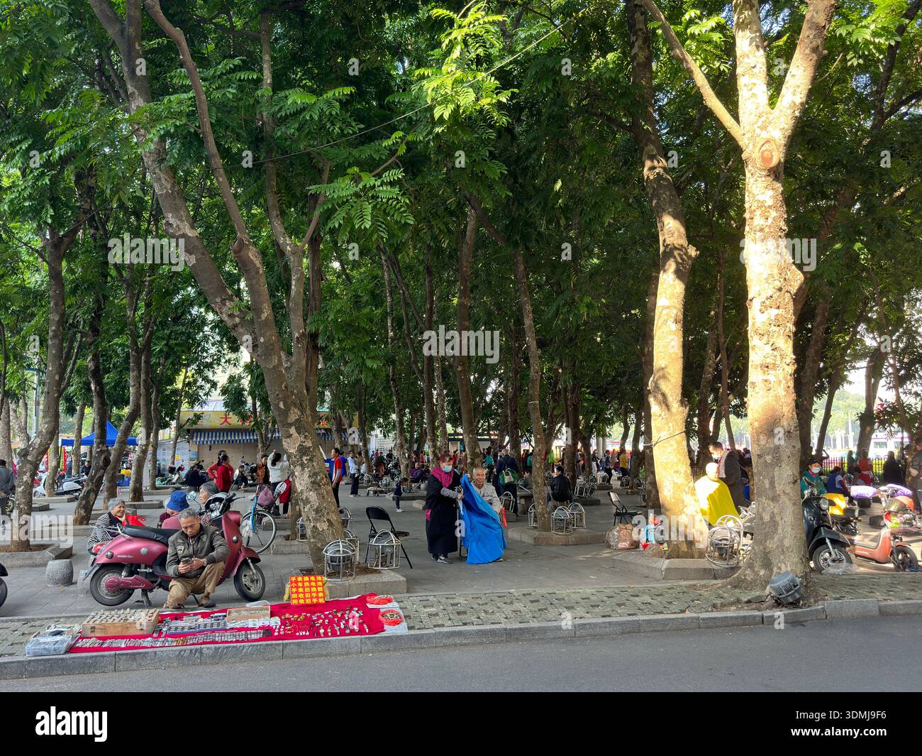 Straßenverkäufer und Shopper versammeln sich unter üppigen Bäumen auf einem belebten Marktplatz in Nanning - Smartphone-aufgenommenes Stockfoto