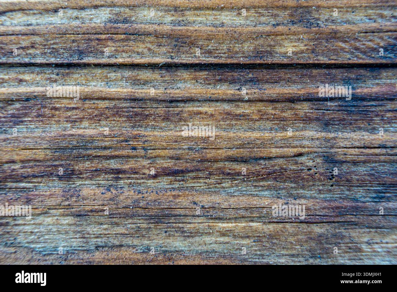 Nahaufnahme horizontaler Holzbretter mit natürlicher Körnung und Verschleißspuren. Stockfoto