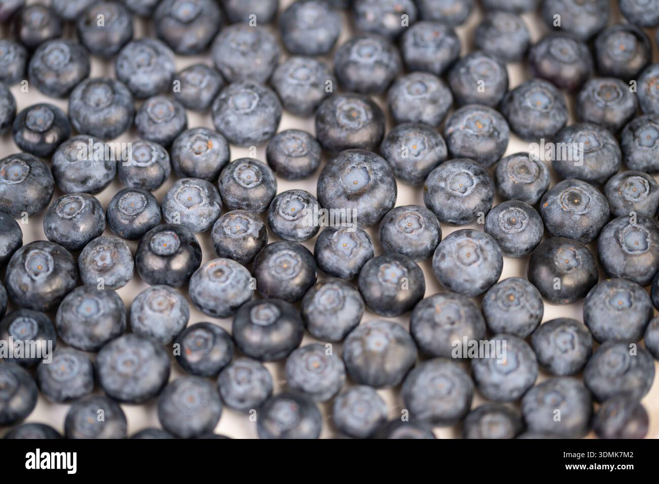 Verstreute Heidelbeeren zur Inspiration für Frühstücksrezepte, weiches natürliches Licht, leichte Schatten, vielseitige Zutatenstimmung für Smoothie-Schüsseln, Haferflocken, p Stockfoto