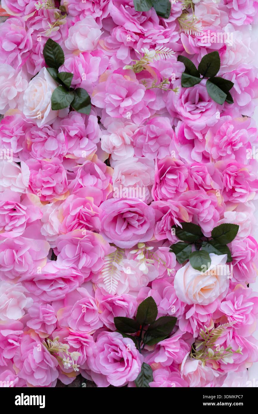 Tapete mit rosa Blumen für Hochzeiten oder romantische Karten echtes Foto nicht Grafik - großartige Auflösung Stockfoto