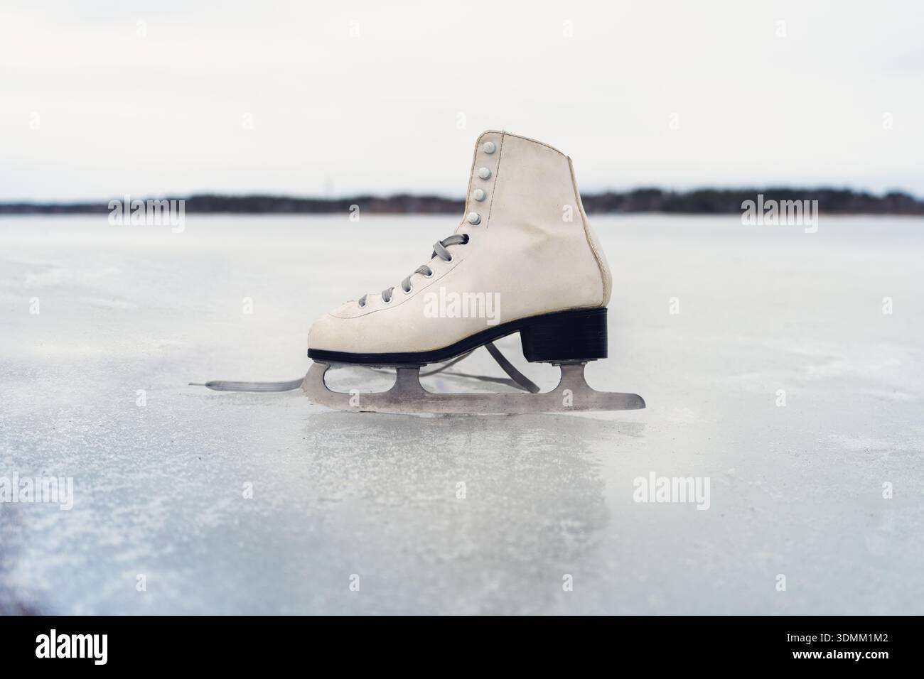 Ein einzelner Schlittschuh steht aufrecht auf dem Eis und symbolisiert das Konzept des Wintersports und der Freizeitaktivitäten im Freien. Stockfoto
