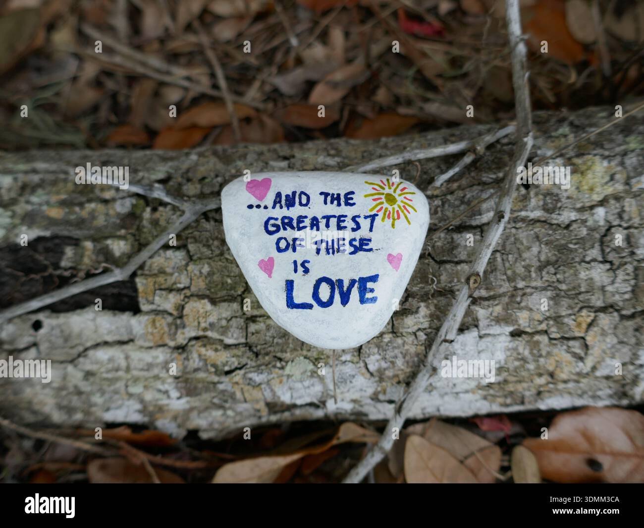 Gefallener Baum mit dem größten ist Liebe Botschaft Güte Stein auf Rinde Stockfoto